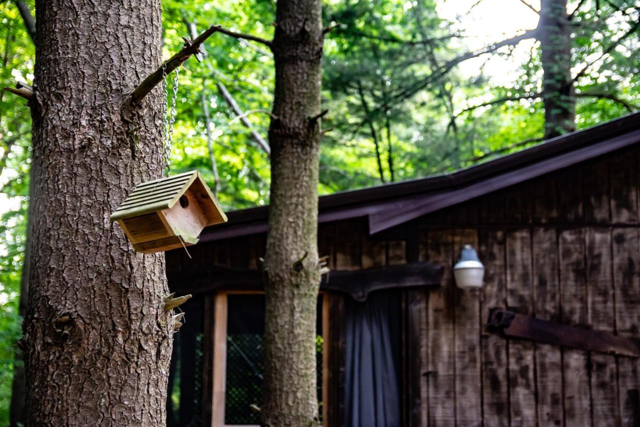 Avenwood Cabins Лоуган Екстериор снимка