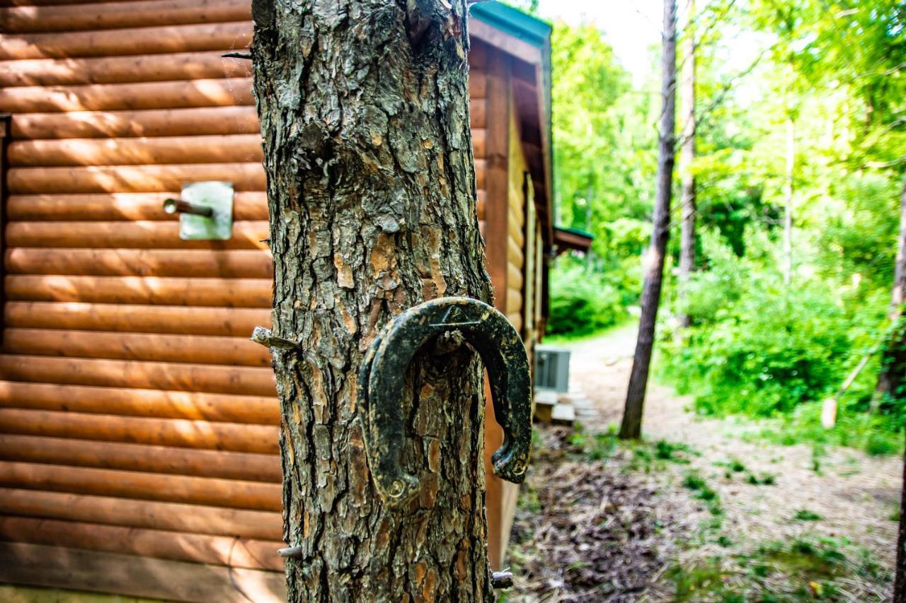 Avenwood Cabins Лоуган Екстериор снимка